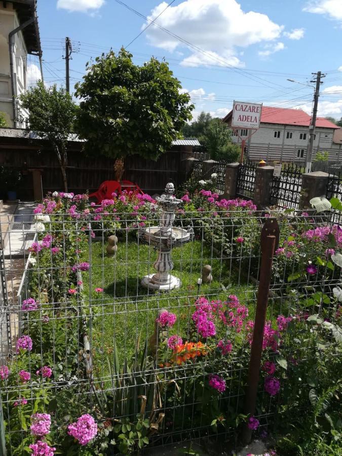 Cazare Adela Horezu Dış mekan fotoğraf