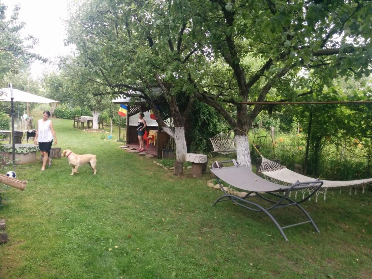Cazare Adela Horezu Dış mekan fotoğraf